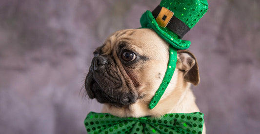 Keep the Luck of the Irish — Not the Danger