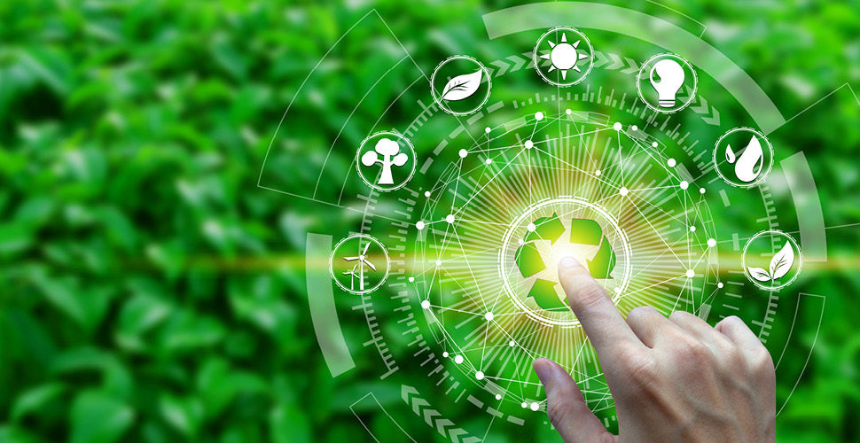 Zero Emissions Day (September 21): Small Steps for a Greener Pet Care Industry