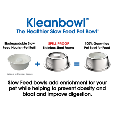 The Healthier Slow Feed Pet Bowl MC