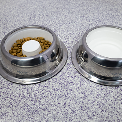 The Healthier Slow Feed Pet Bowl